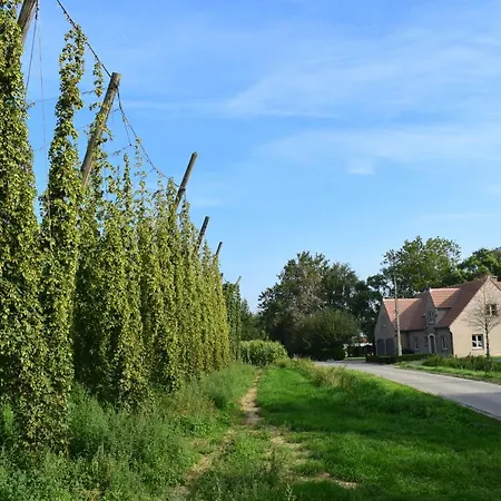 Hoppegenot Poperinge